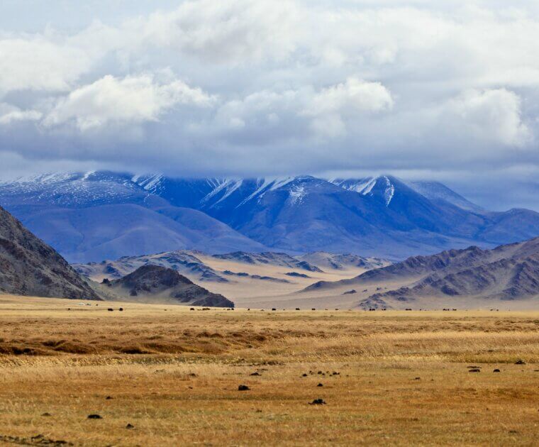 bolatbek gabiden dsL tvf1Z E unsplash