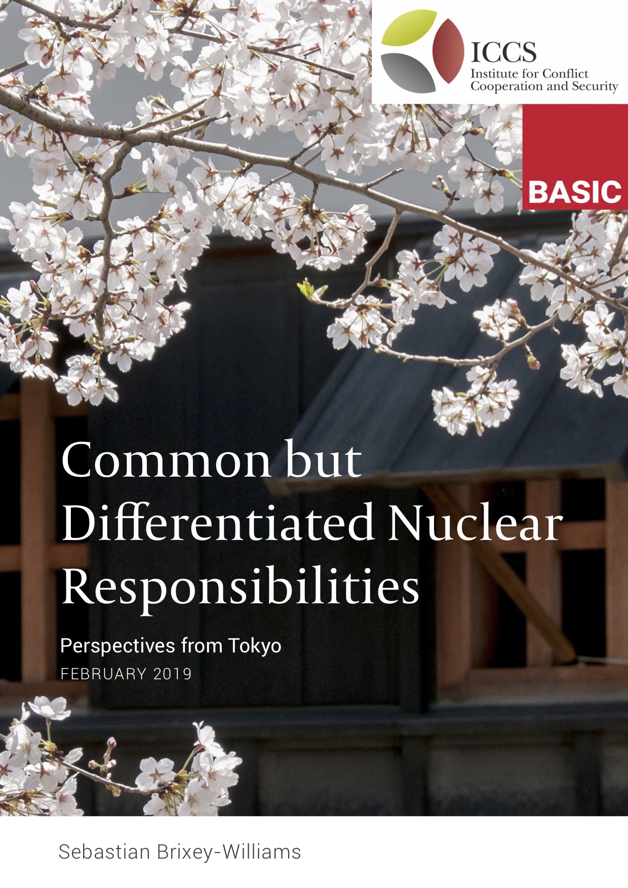 Brixey Williams Common but Differentiated Nuclear Responsibilities February 2019 Cover