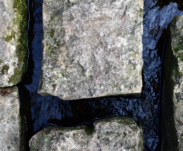 tree water nature rock plant wood 1213405 pxhere.com