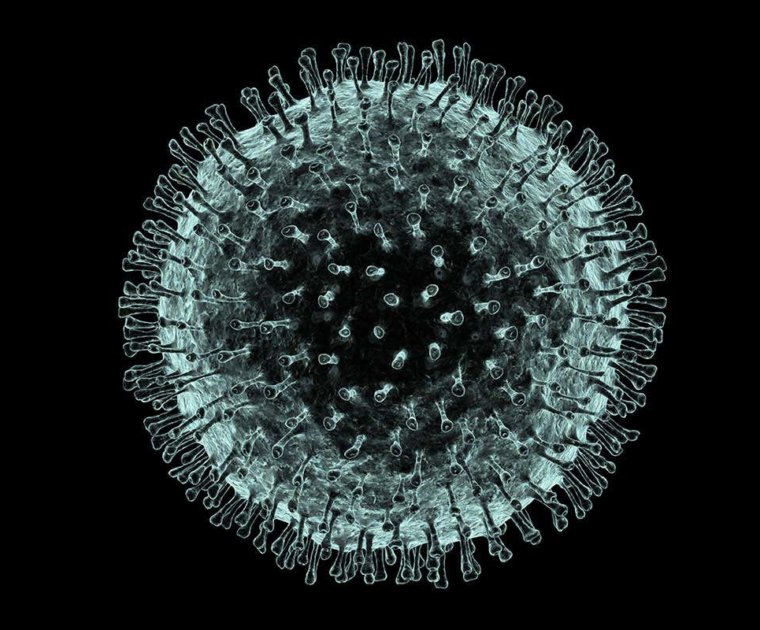 f0070229 coronavirus artwork spl