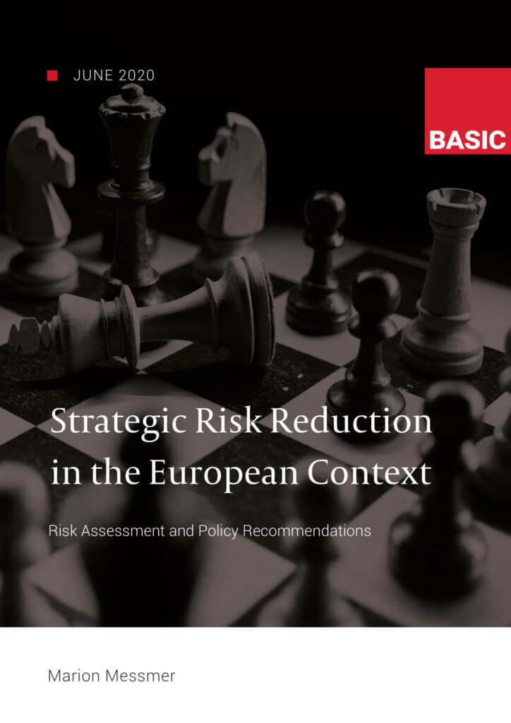 Strategic Risk Reduction in the European Context WEB 1 01