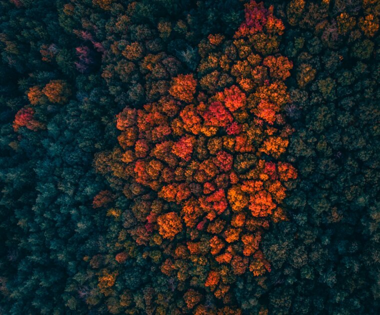 benjamin voros mjO1r3WX 7s unsplash