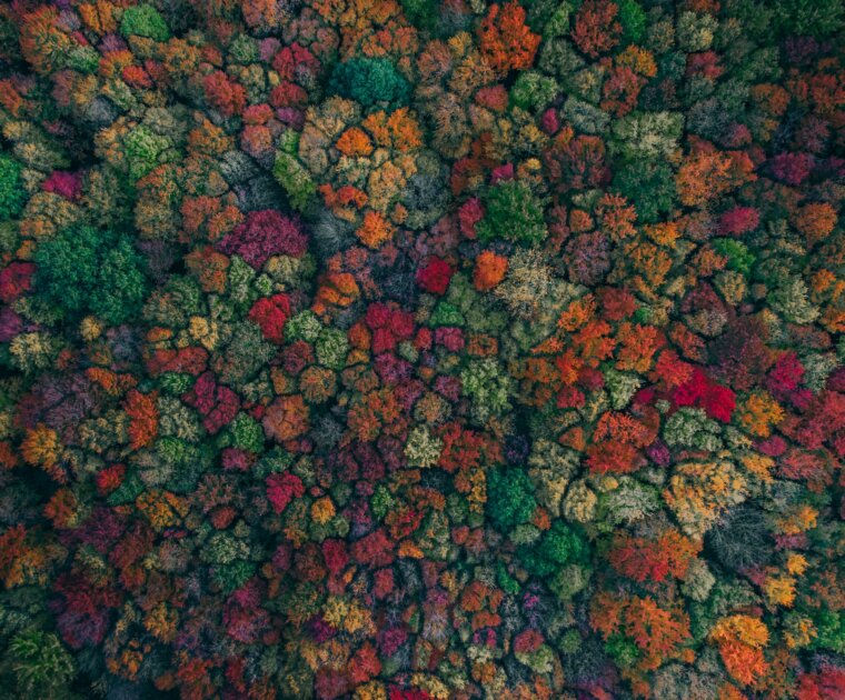 martin sanchez eAHZQgH8 1k unsplash