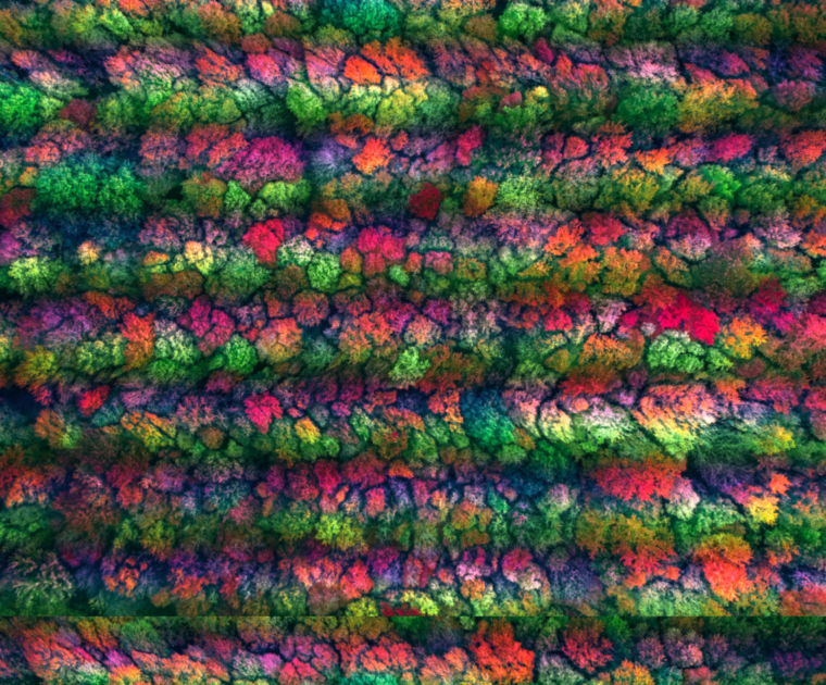 Untitled design 16