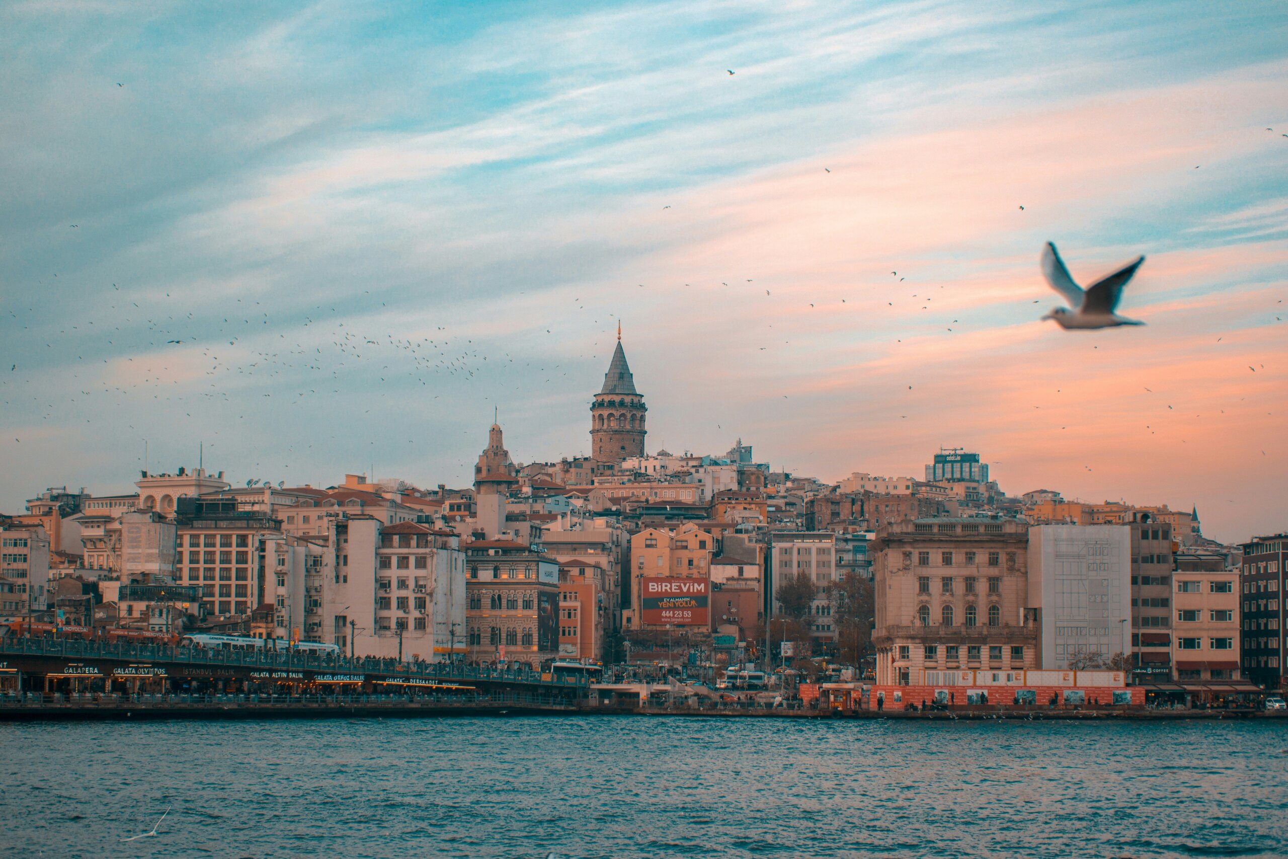 ibrahim uzun XupGtwWXw5g unsplash scaled